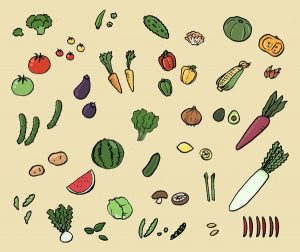 身体を温める食材、熱を冷ます食材