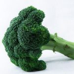栄養価の高いブロッコリー