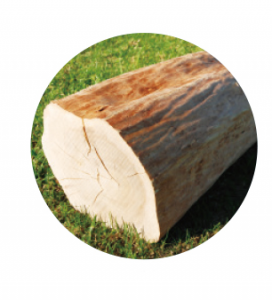 サンダルウッド・インド