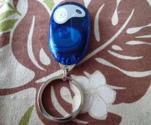 静電気除去グッズを購入~ぺんてる*ビー・ルミッシュ~